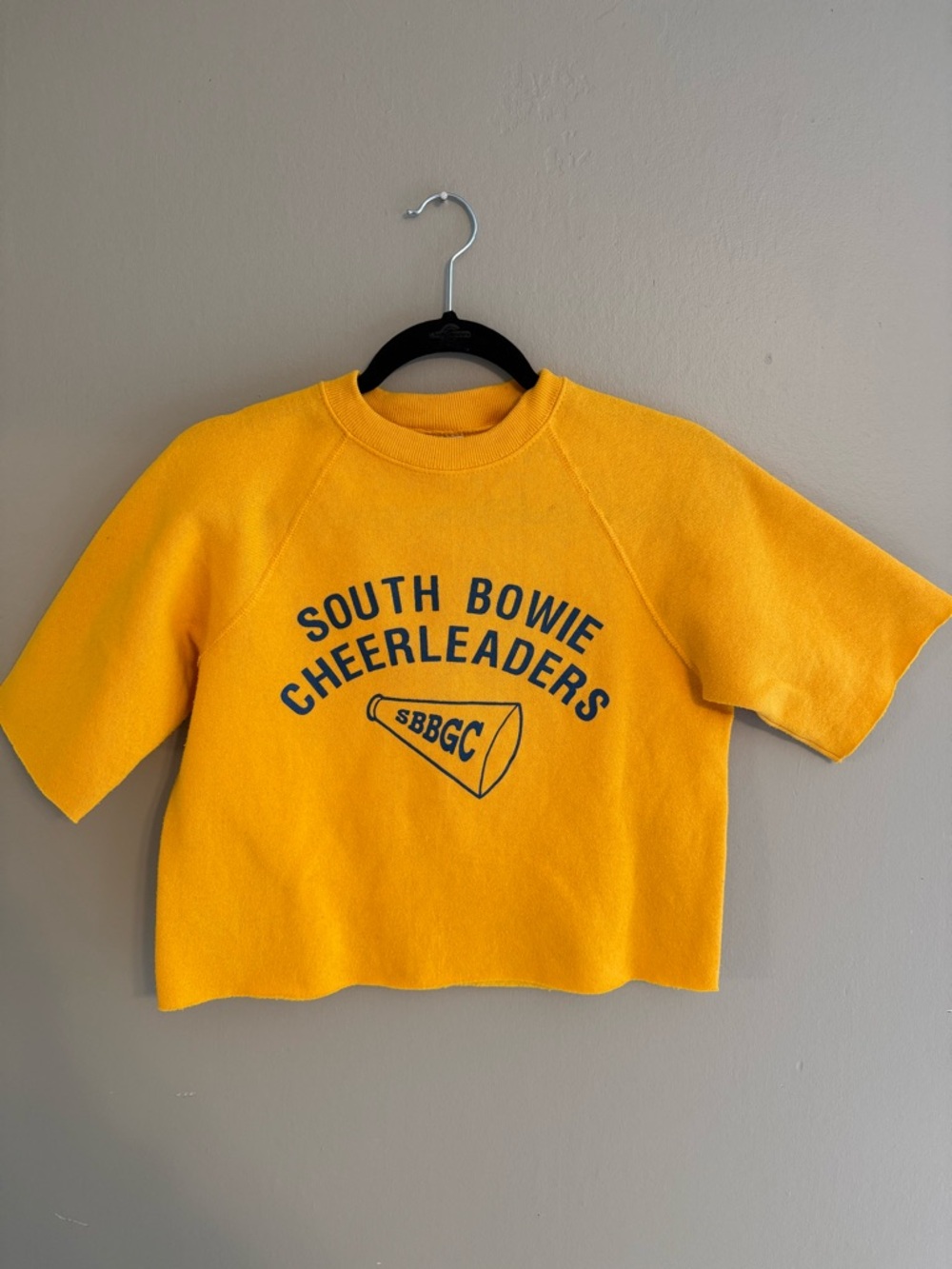 Vintage cropped crew neck sweatshirt